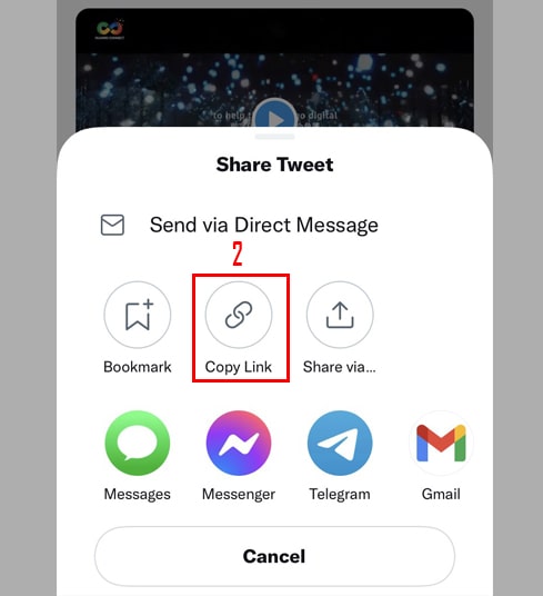 Copy Twitter link on the app